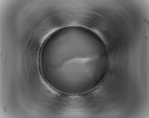 X0000102841142200808251150