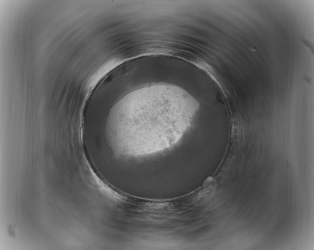 X0000102841143200808251150