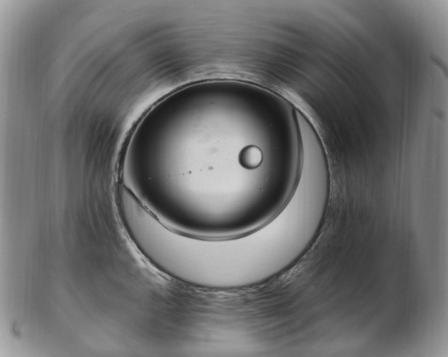 X0000102841144200808251150