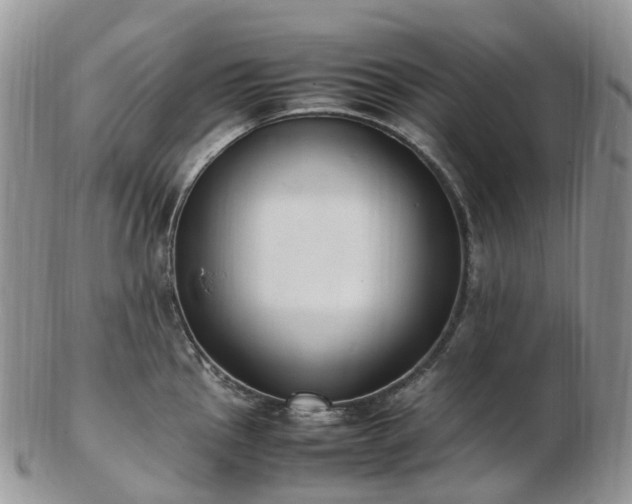 X0000102841145200808251150