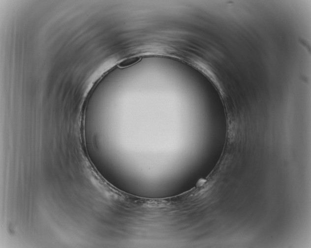 X0000102841146200808251150