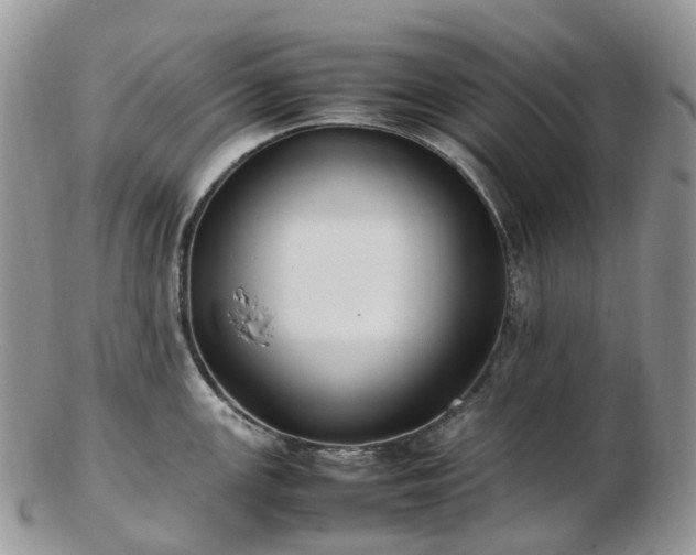 X0000102841147200808251150