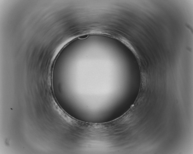 X0000102841148200808251150