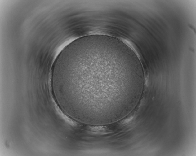 X0000102841149200808251150