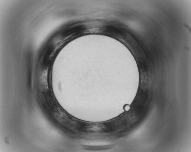 X0000102841150200808251150