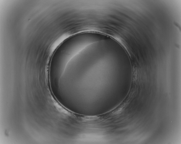 X0000102841151200808251150