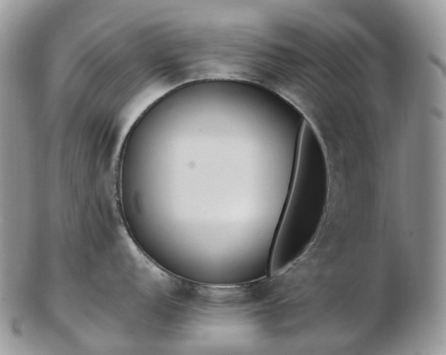 X0000102841152200808251150