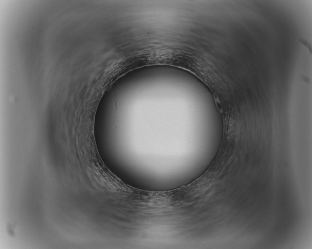 X0000102841153200808251149