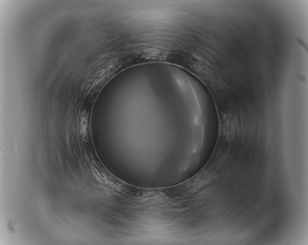 X0000102841154200808251149