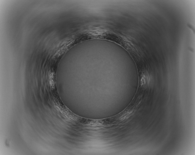 X0000102841156200808251149