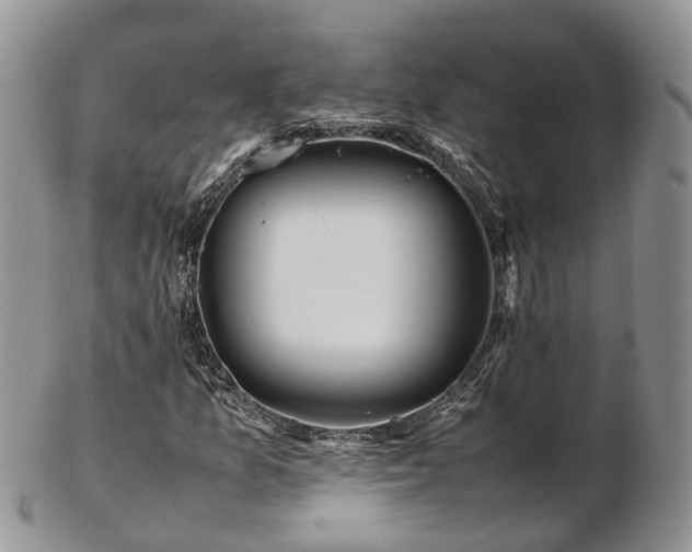 X0000102841157200808251149