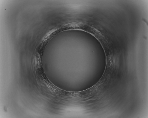 X0000102841158200808251149