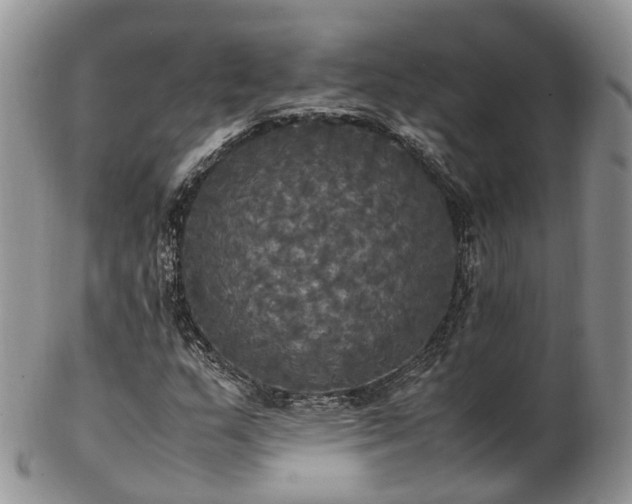 X0000102841159200808251149