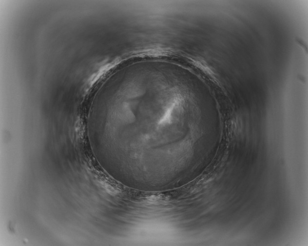 X0000102841160200808251149