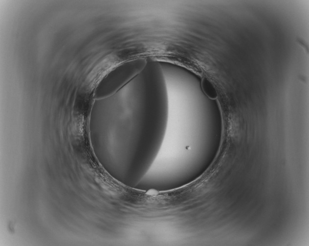 X0000102841161200808251149