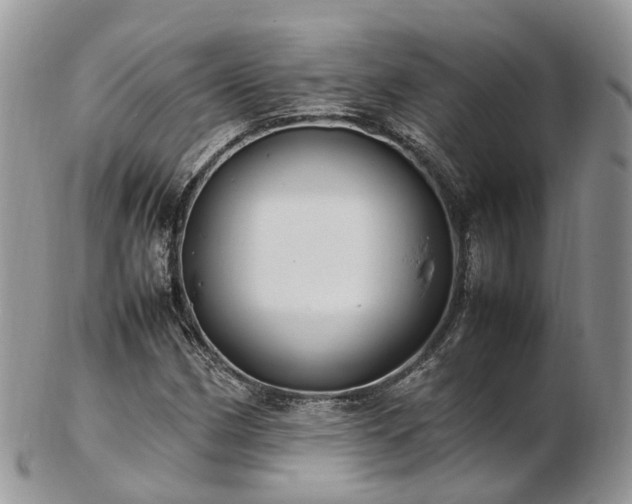 X0000102841162200808251149