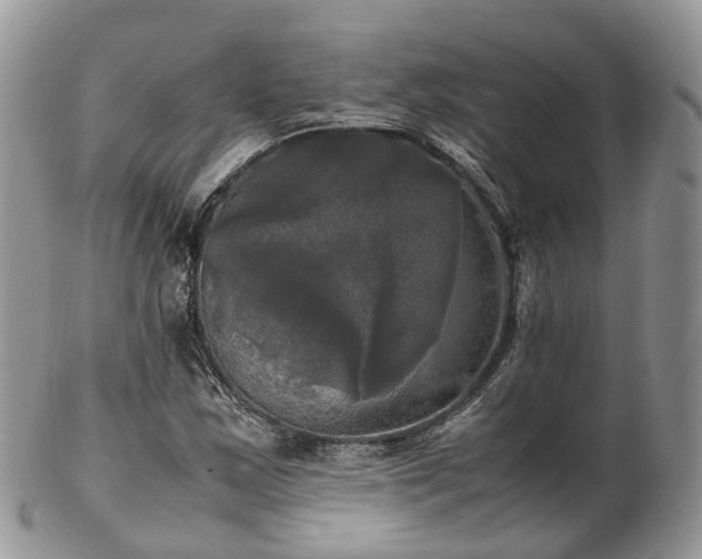 X0000102841163200808251149