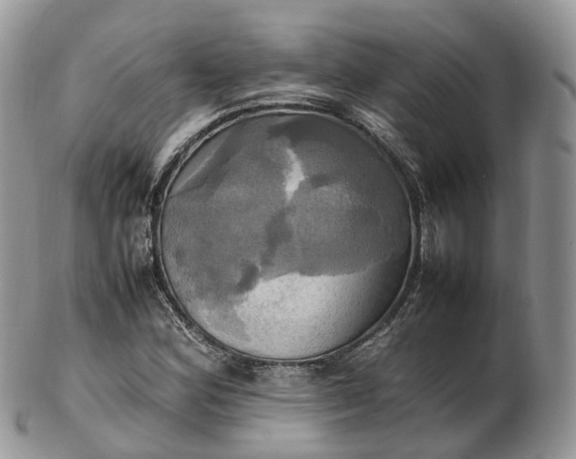 X0000102841164200808251149