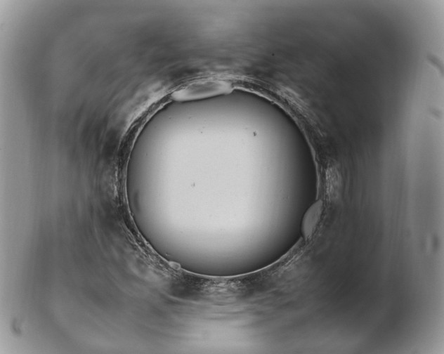 X0000102841165200808251149