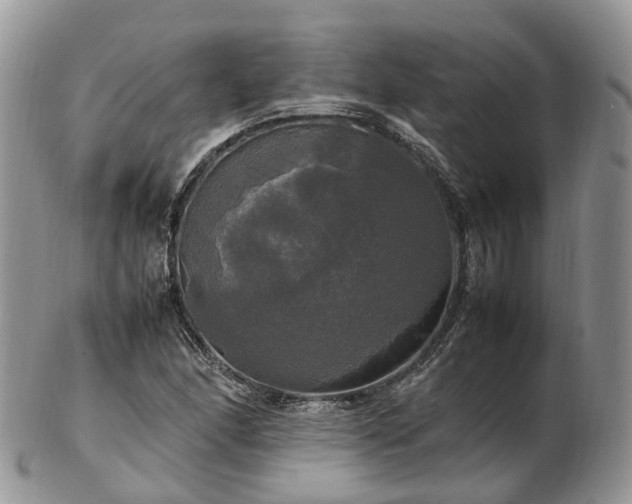 X0000102841166200808251149