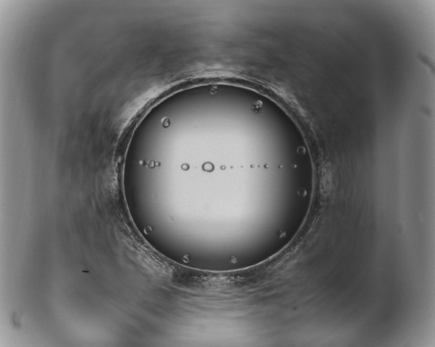 X0000102841167200808251149