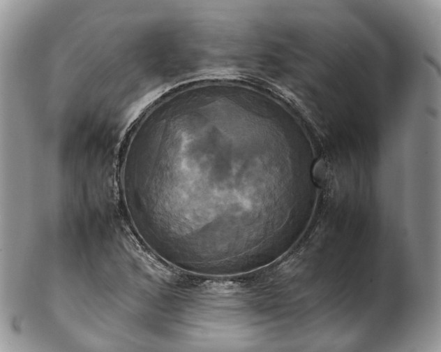 X0000102841168200808251149