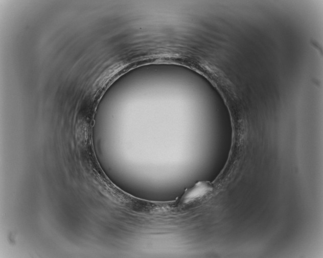 X0000102841169200808251149