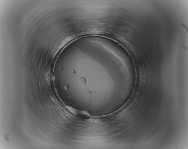 X0000102841170200808251149