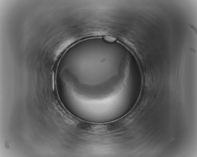 X0000102841171200808251149