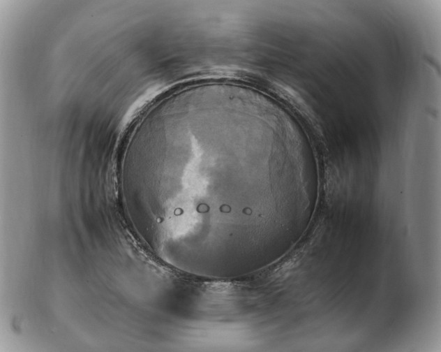 X0000102841172200808251149