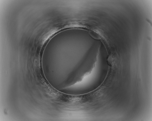 X0000102841173200808251149