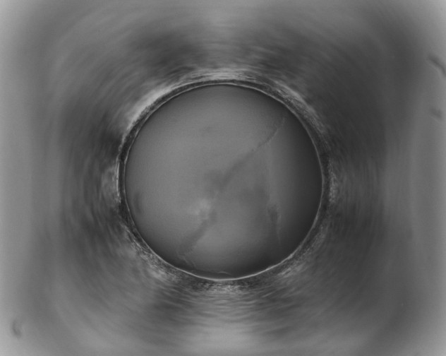 X0000102841174200808251149