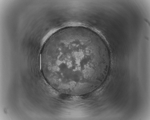 X0000102841175200808251149