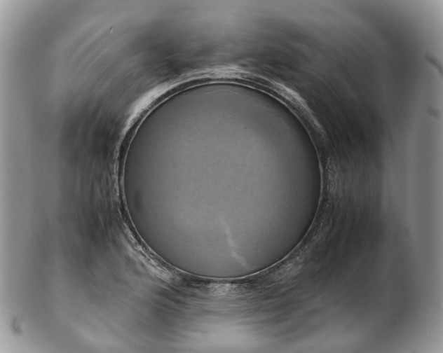 X0000102841176200808251149