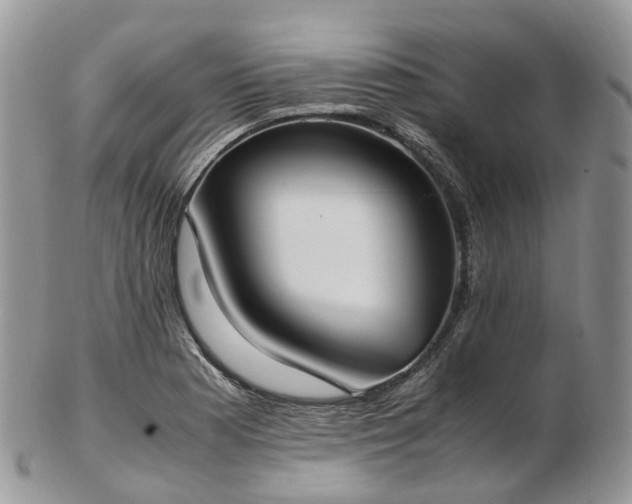 X0000102841177200808251149