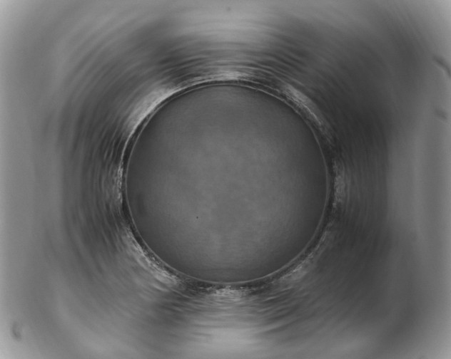 X0000102841178200808251149