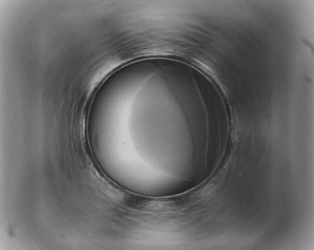 X0000102841179200808251149