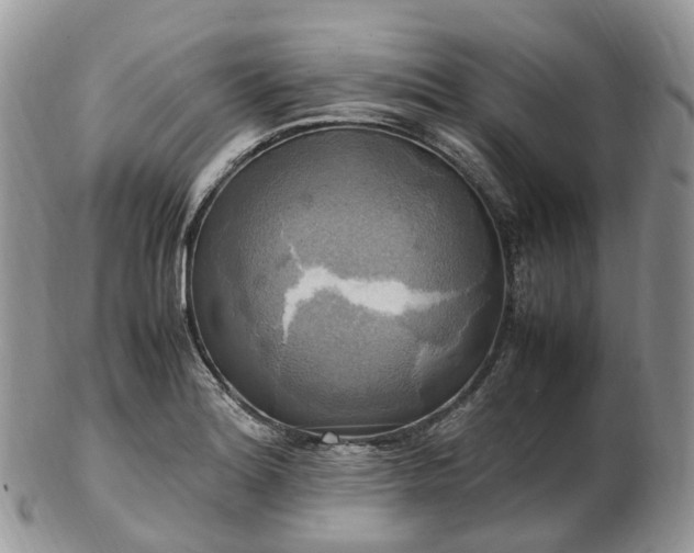 X0000102841180200808251149