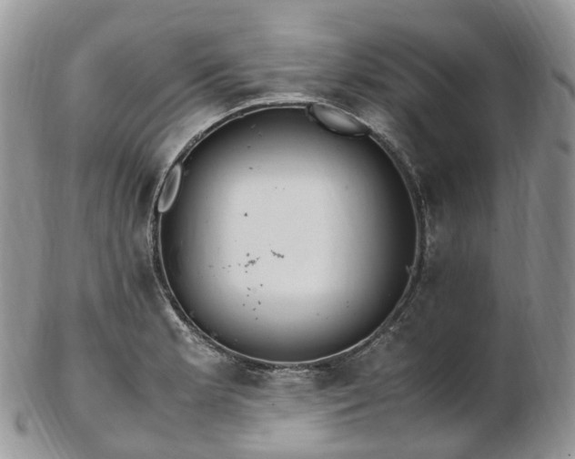 X0000102841181200808251149