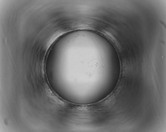 X0000102841182200808251149