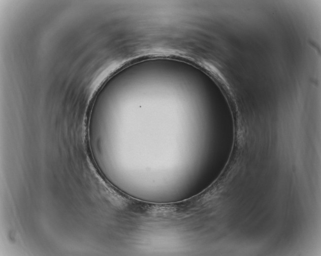 X0000102841183200808251149