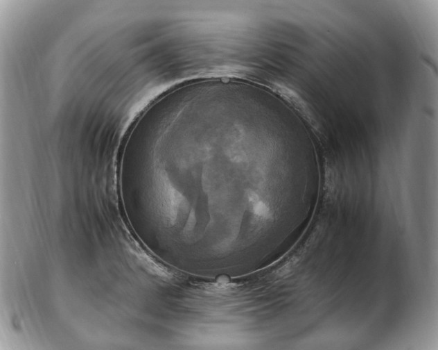 X0000102841184200808251149