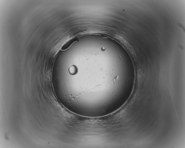 X0000102841185200808251149