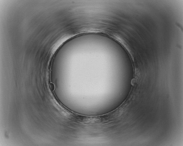 X0000102841187200808251149