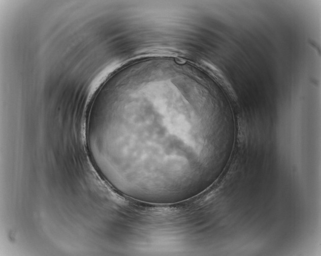 X0000102841188200808251149