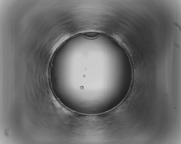 X0000102841189200808251149