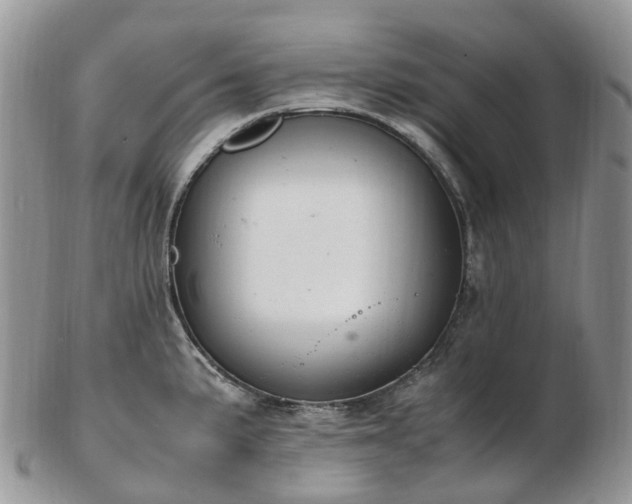 X0000102841191200808251149