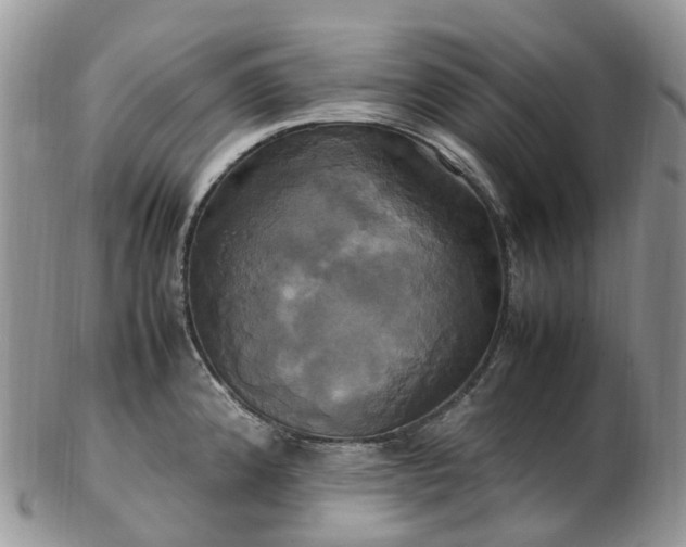 X0000102841192200808251149