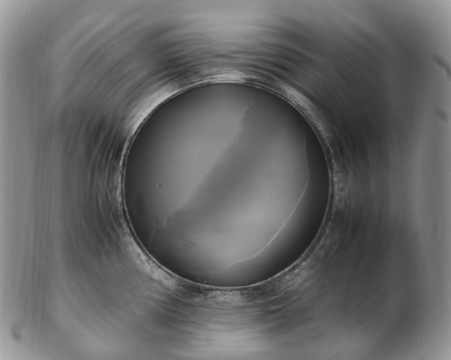 X0000102841194200808251149