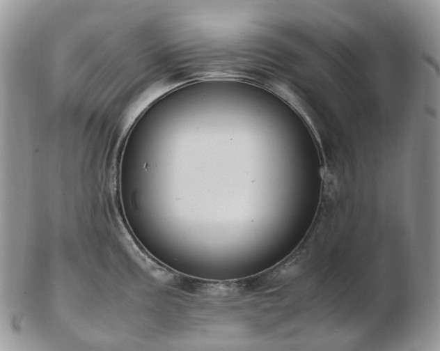 X0000102841195200808251149